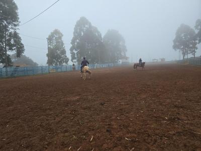 Curso de casqueamento em cavalos Ã© realizado em Nova Laranjeiras